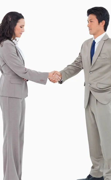 Young sales shaking hands — Stock Photo, Image