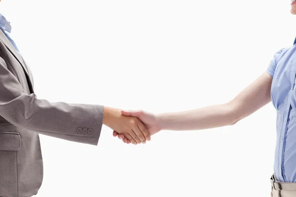 Handshake mezi dvěma ženami — Stock fotografie