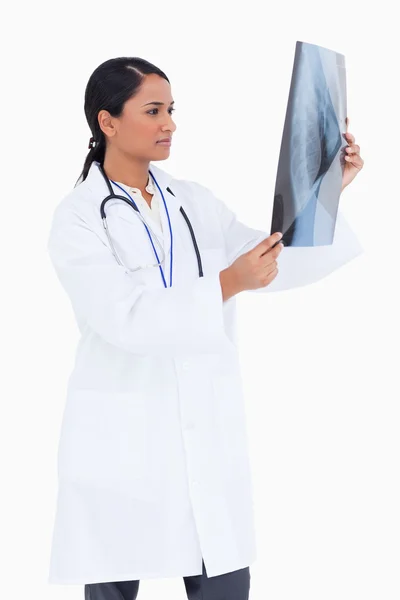 Visão lateral do médico feminino verificando o raio-x — Fotografia de Stock