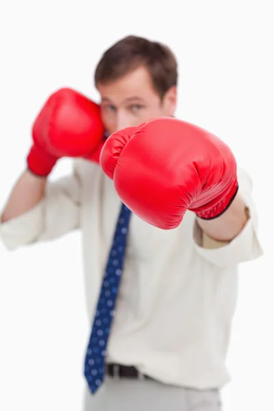Atacando homem de negócios com luvas de boxe — Fotografia de Stock