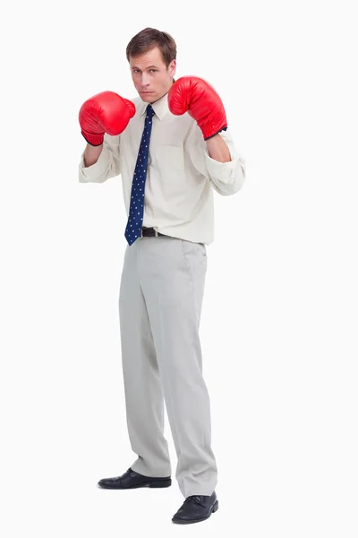 Işadamı ile boks eldivenlerini savaşmaya hazır — Stok fotoğraf