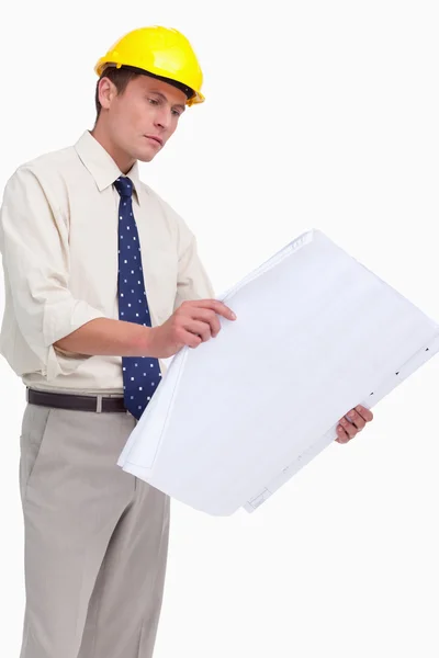 Architect looking at plans — Stock Photo, Image
