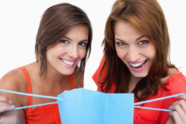 Two teenage girls holding a purchase bag while smiling — Stock Photo, Image