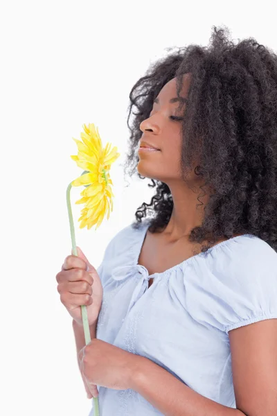 Mujer rizada joven oliendo una hermosa flor — Foto de Stock