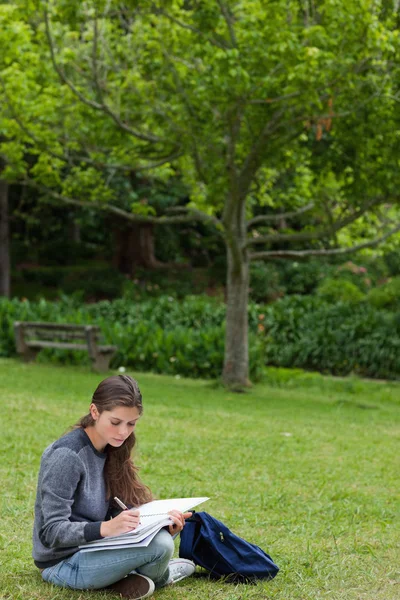 Junges ernstes Mädchen, das seine Hausaufgaben macht, während es sich in einem pa hinsetzt — Stockfoto
