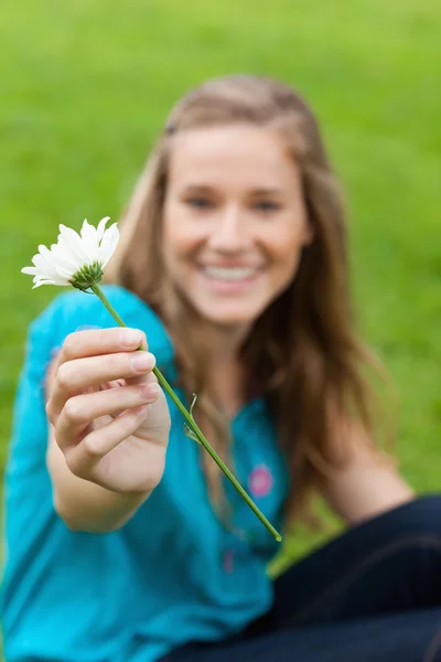 Λευκό λουλούδι διοργάνωσε μιας νεαρής γυναίκας χαμογελαστά — Φωτογραφία Αρχείου