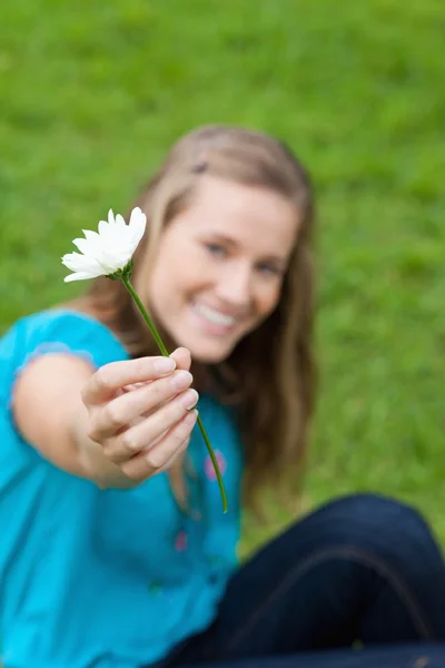 Bela flor branca realizada por uma jovem menina atraente em um parque — Fotografia de Stock