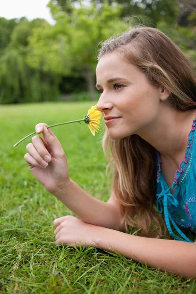 Seitenansicht einer jungen Frau, die im Gras liegt, während sie ein f riecht — Stockfoto
