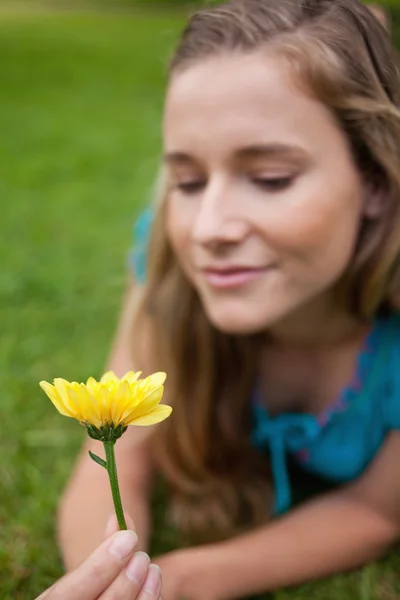 Желтый цветок в руках привлекательной молодой женщины — стоковое фото