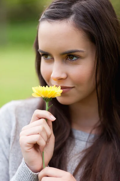 Relaxed young woman standing in a parkland while holding a yello — Stock Photo, Image