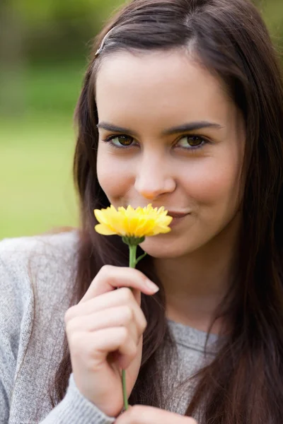 Молодая женщина смотрит в камеру, чувствуя запах желтого цветка. — стоковое фото