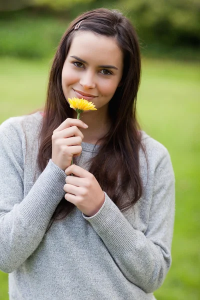 Young relaxed woman smelling a yellow flower while standing in a — Stock Photo, Image