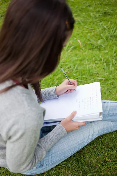 Pohled mladý student dělá její domácí úkoly v parku — Stock fotografie
