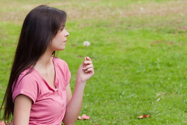 Young woman holding a dandelion while standing in the countrysid — Stock Photo, Image