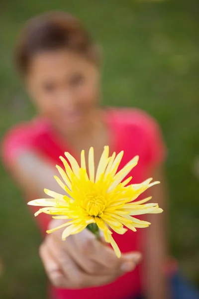 Woman holding a yellow flower in one hand at arms reach — Stock Photo, Image