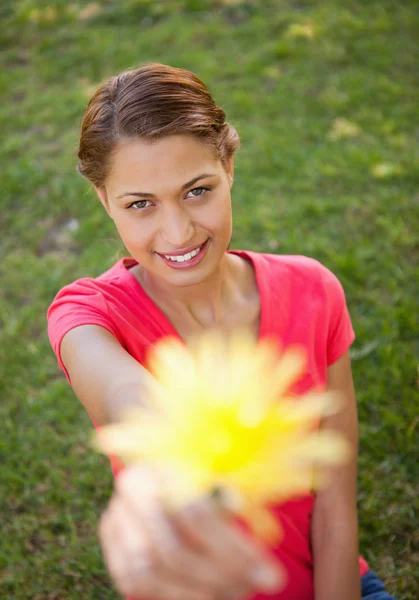 Femme tenant une fleur dans une main aux bras atteindre — Photo