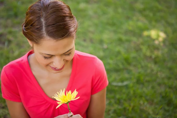 Femme regardant vers le bas une fleur jaune — Photo