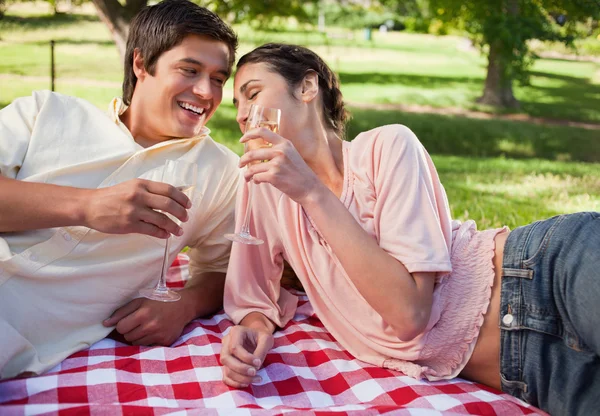 Två vänner skrattar som de höjer sina glas under en picknick — Stockfoto