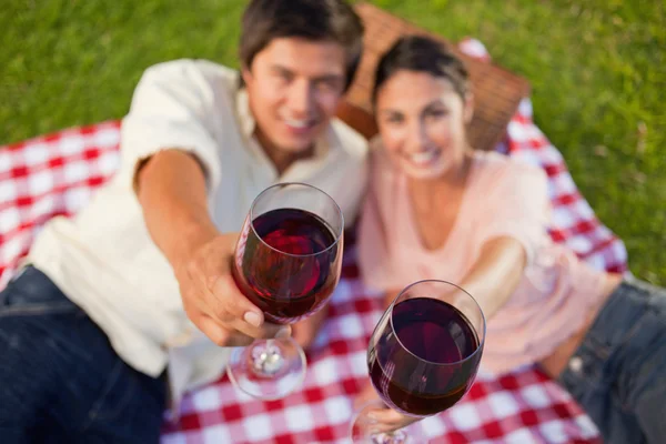 Two friends raising their glasses of wine during a picnic — Stock Photo, Image