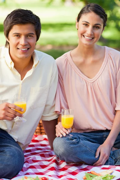 Two friends smiling while holding glasses of juice during a picn — Stockfoto