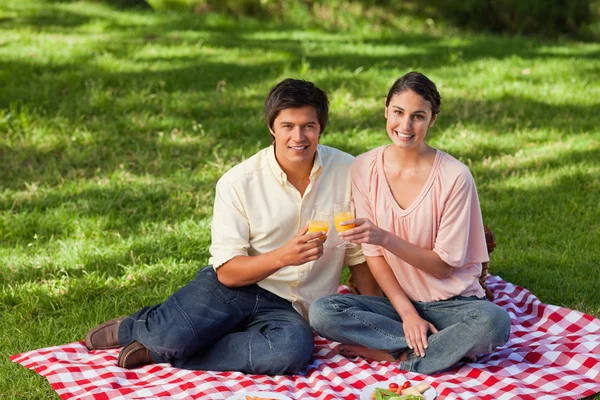 Zwei Freunde blicken voraus, während sie beim Picknick Gläser berühren — Stockfoto