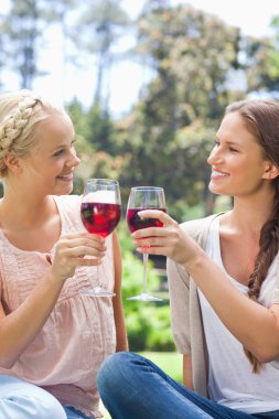 Smiling friends clinking their wine glasses clipart