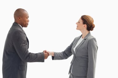 Businessman shaking businesswoman's hand clipart