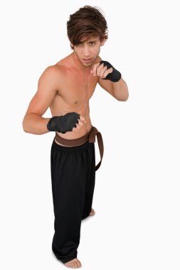 Martial arts fighter in fighting stance clipart