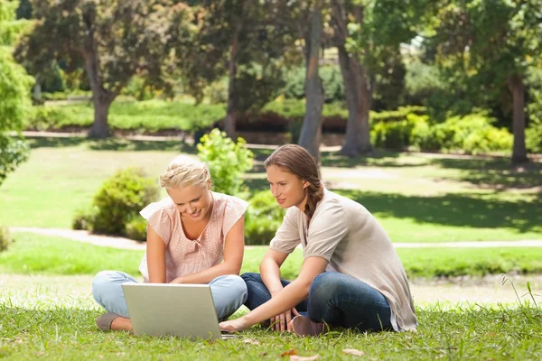 朋友们坐在草坪上用一台笔记本电脑 — 图库照片