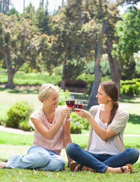Vrienden clink glazen wijn in het park — Stockfoto