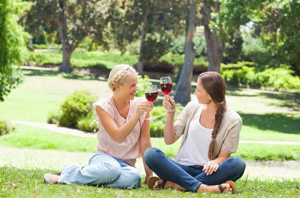Przyjaciele po kieliszek czerwonego wina w parku — Zdjęcie stockowe