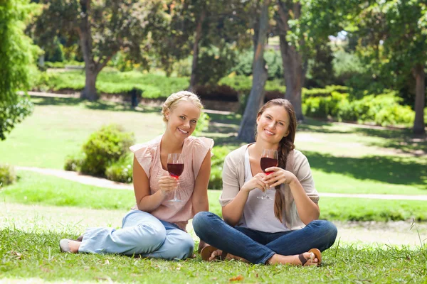 Przyjaciele z kieliszków do wina w parku — Zdjęcie stockowe