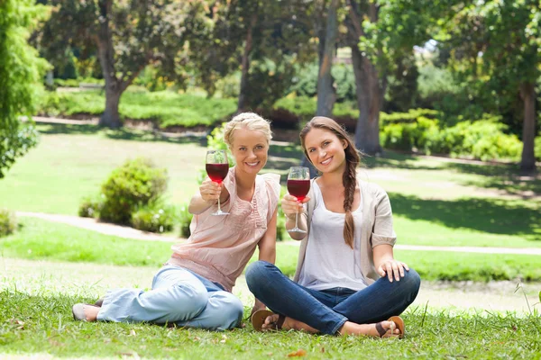 Freunde trinken Rotwein im Park — Stockfoto