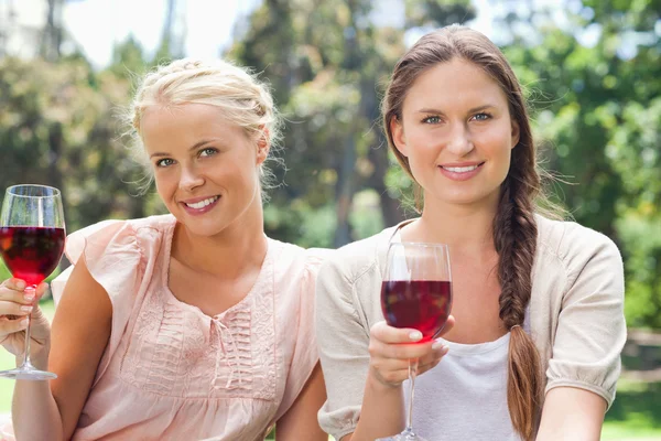 Amis souriants ayant du vin rouge dans le parc — Photo