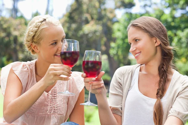 Przyjaciele szczęk ich kieliszki do wina — Zdjęcie stockowe