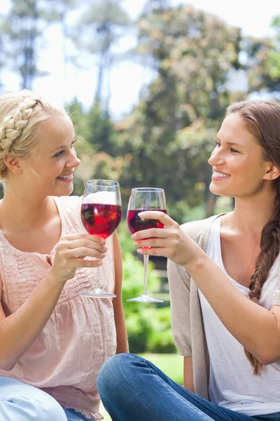 stock image Smiling friends clinking their wine glasses