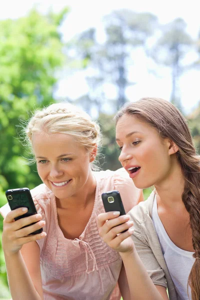 Друзі в парку з мобільними телефонами — стокове фото