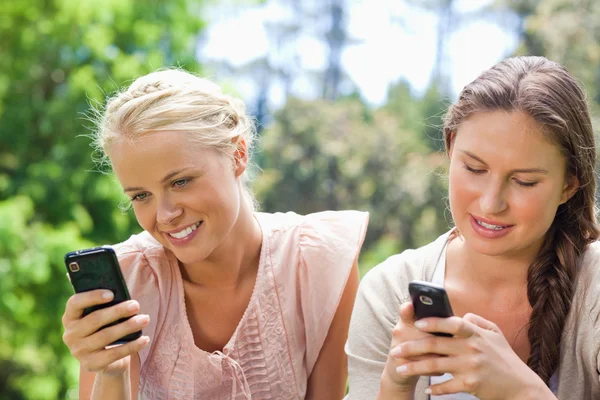 Amici che scrivono SMS nel parco — Foto Stock