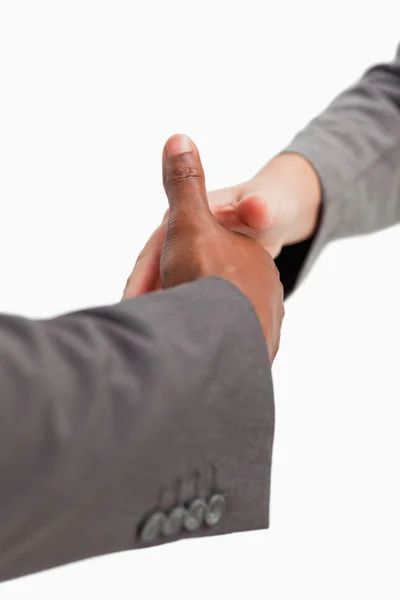 Biznesowy uścisk dłoni — Zdjęcie stockowe
