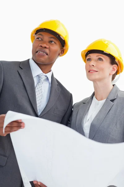 Affari sorridenti indossando cappelli duri sono in possesso di una carta — Foto Stock