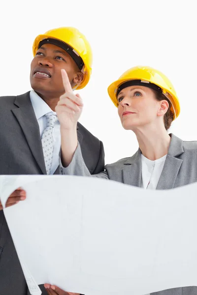 Business wearing hard hats are talking — Stock Photo, Image