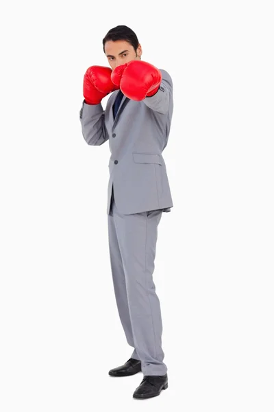 Businessman wearing boxing gloves — Stock Photo, Image