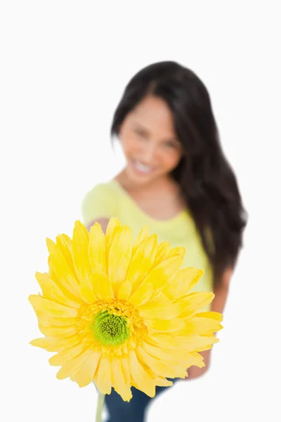 Close-up of a Gerbera holding by a young woman — Stock Photo, Image