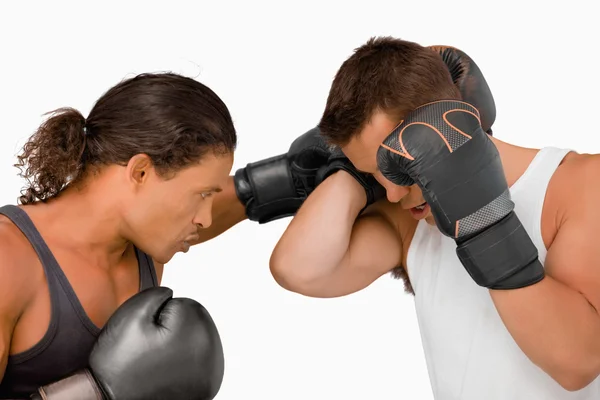 Vista lateral de dois boxers masculinos — Fotografia de Stock