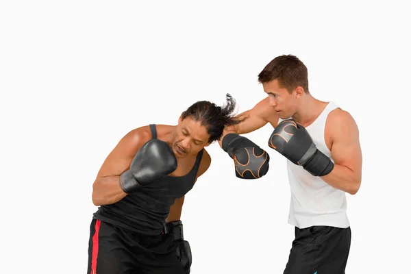 Vista lateral de dos boxeadores de combate — Foto de Stock