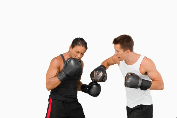 战斗拳击运动员的侧视图 — 图库照片