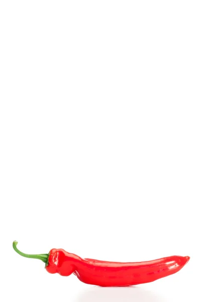 サイボーグの赤唐辛子 — ストック写真