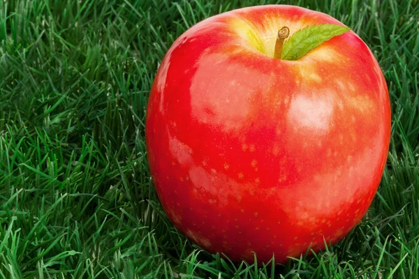 Красное яблоко и его лист на траве — стоковое фото