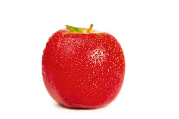 湿的红苹果和它的叶 — 图库照片