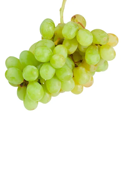 Aloft druiven — Stockfoto